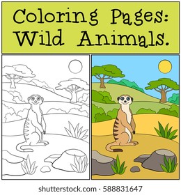 Coloring Pages: Wild Animals. Little cute meerkat stands on the sand and smiles.