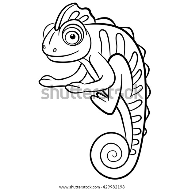 74 Cute Wild Animals Coloring Pages  Images
