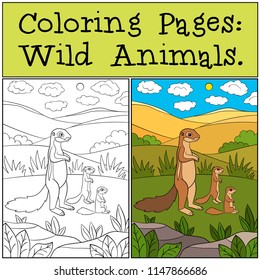 Coloring Pages: Wild Animals. Mother xerus with her cute babies.