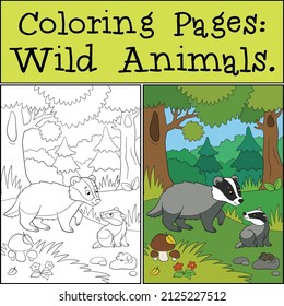 Coloring Pages: Wild Animals. Mother badger stands with her little cute baby badger in the forest.