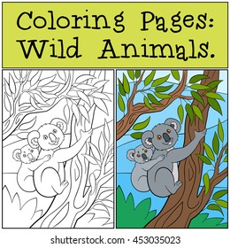 Coloring Pages: Wild Animals. Mother koala sits on the tree branch with her little cute baby and smiles.