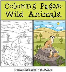 Coloring Pages: Wild Animals  Mother meerkat and her little cute babies the stone 