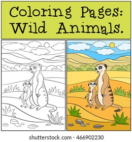 Coloring Pages: Wild Animals. Mother meerkat with her little cute baby in the desert.