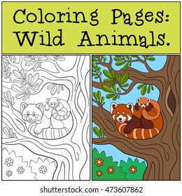 Coloring Pages: Wild Animals. Mother red panda sits on the tree branch with her little cute baby and smiles.