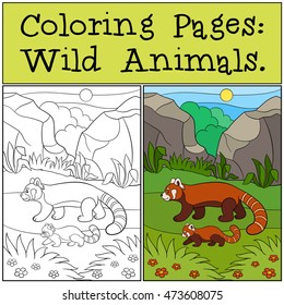 Coloring Pages: Wild Animals. Mother red panda walks with her little cute baby and smiles.