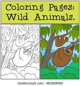 Coloring Pages: Wild Animals. Mother sloth and her little cute baby hang on the tree branch and smile.