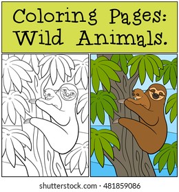 Coloring Pages: Wild Animals. Mother sloth with her little cute baby hangs on the tree and smiles.