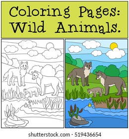 Coloring Pages: Wild Animals. Mother and father wolf look at their little cute baby.