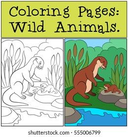 Coloring Pages: Wild Animals. Mother otter looks at her little cute baby and smiles.