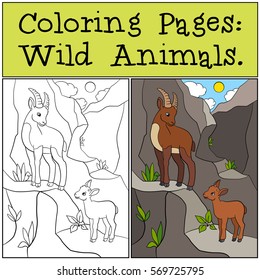 Coloring Pages: Wild Animals. Mother ibex with her little cute baby ibex on the rocks.