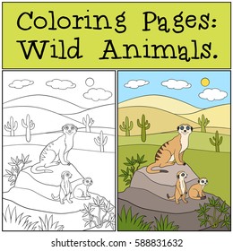 Coloring Pages: Wild Animals. Mother meerkat with her little cute babies on the stone.