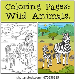Download Coloring Book Zebra Images Stock Photos Vectors Shutterstock