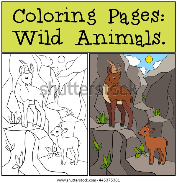 Coloring Pages Wild Animals Mother Ibex Stock Vector Royalty