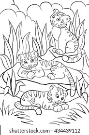 Coloring pages. Wild animals. Three little cute baby tigers in the forest.