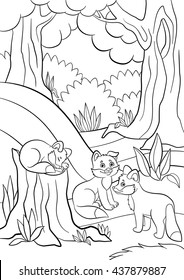 Coloring pages. Wild animals. Three little cute baby fox in the forest.