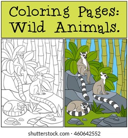 Dibujos para colorear: Animales salvajes. Tres pequeños lémures lindos en las piedras en la selva.