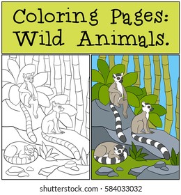 Coloring Pages: Wild Animals. Three little cute lemurs on the stones in the jungle.