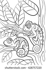 Coloring pages. Wild animals. Two little cute chameleon sits on the tree branch.