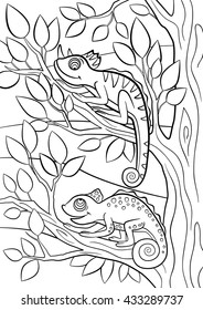 Coloring pages. Wild animals. Two little cute chameleon sits on the tree branch.