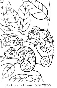 Coloring pages. Wild animals. Two little cute chameleon sits on the tree branch.