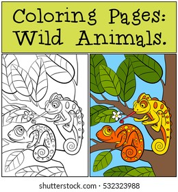 Coloring Pages: Wild Animals. Two little cute chameleons sit on the tree branch.