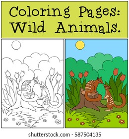 Coloring Pages: Wild Animals. Two little cute numbats look at each other and smile.