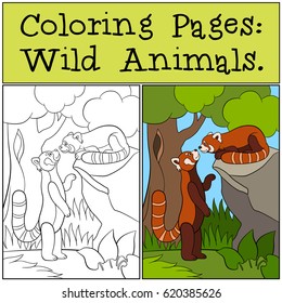 Coloring Pages: Wild Animals. Two little cute red pandas look at each other and smile.