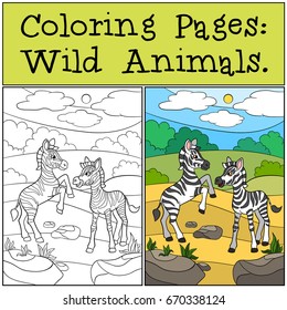 Coloring Pages: Wild Animals. Two little cute zebras play.
