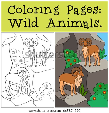 57 Coloring Pages Of Mountain Animals For Free