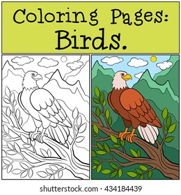 Coloring Pages: Wild Birds. Cute bold eagle sits on the tree branch and smiles.