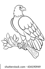 Coloring pages. Wild birds. Cute smiling eagle sits on the tree branch.