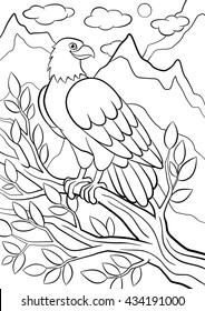 Coloring pages. Wild birds. Cute eagle sits on the tree branch among mountains and smiles.