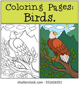 Coloring Pages: Wild Birds. A cute bold eagle sits on the tree branch and smiles.