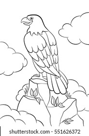 Coloring pages. Wild birds. Cute eagle sits on the rock and smiles.