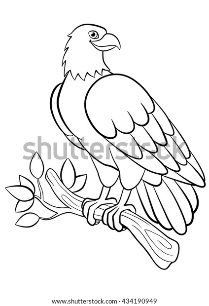 680 Wild Bird Coloring Pages , Free HD Download