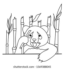 Coloring. A panda bear holds in its paws a branch of eucalyptus with leaves. White background. Drawn by hand. Suitable for design for poster, t-shirt, postcard, coloring, fabric, print. Line art, 