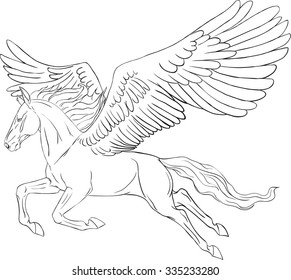 The coloring of the pegaseus