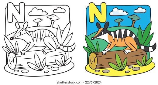 Coloring picture or coloring book of little funny numbat on a log. Alphabet N