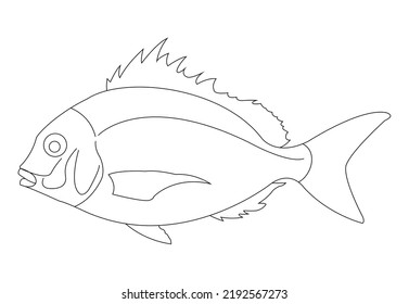 733 Red snapper fish Stock Illustrations, Images & Vectors | Shutterstock