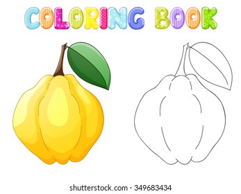 Coloring quince on white