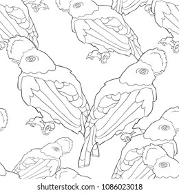 coloring seamless pattern bird of paradise, a rocky cock vector illustration