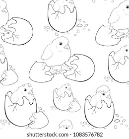 coloring seamless pattern  is  chicken baby  the egg hatchs vector illustration