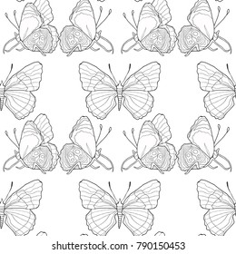 coloring seamless pattern Diaethria clymena Butterfly  vector illustration