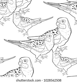 coloring seamless pattern exotic tropics parrot roseella  vector illustration