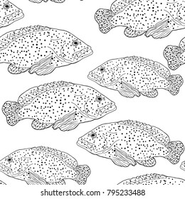 coloring seamless pattern Fish is grouper spotted vector illustration