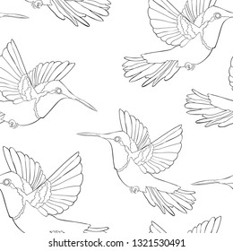 coloring seamless pattern Hummingbird Chrysolampis mosquitus Ruby bird small  vector illustration
