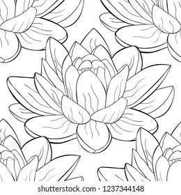 coloring seamless pattern  lotus flower spiritual india vector illustration