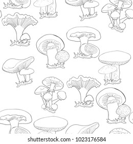 coloring seamless pattern mushrooms russula, chanterelle, champignon, greasers, honey agaric, freckle.  vector illustration