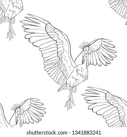 coloring seamless pattern Oriental Crowned Crane spread its wings  vector illustration