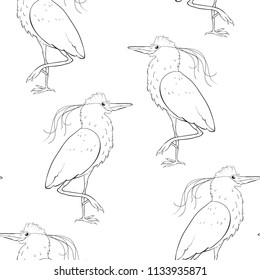 coloring seamless pattern South American kvakva heron bird  vector illustration